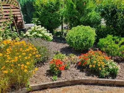 Ein Garten an der Unterkunft FeWo Trasser