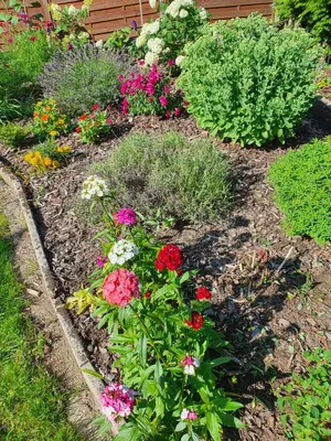 Ein Garten an der Unterkunft FeWo Trasser