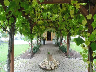 Ein Garten an der Unterkunft Weingut Lehnert-Später