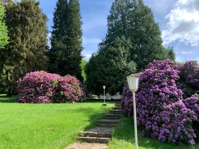 Ein Garten an der Unterkunft Landsitz Kammerburg