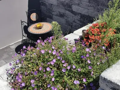 Ein Garten an der Unterkunft NEU! 3 Sterne Ferienwohnung Loreley DTV Klassifizierung
