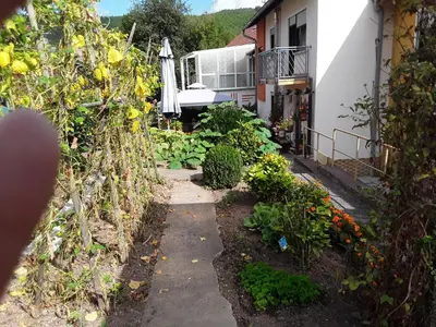 Ein Garten an der Unterkunft Haus Kallin