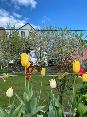 Ein Garten an der Unterkunft Apartment an der Mosel 2