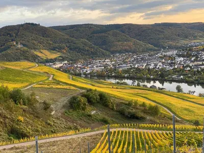 Naturlandschaft in der Nähe der Ferienwohnung