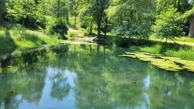 Naturlandschaft in der Nähe der Ferienwohnung