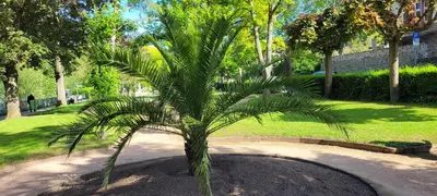 Ein Garten an der Unterkunft Ferienwohnung mit großer Terrasse
