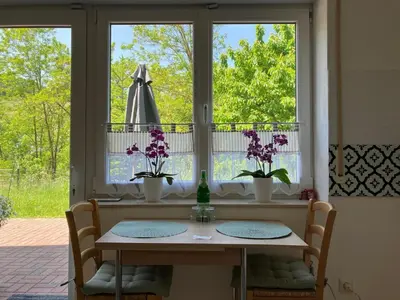 Ein Garten an der Unterkunft Ferienwohnung im Moselland
