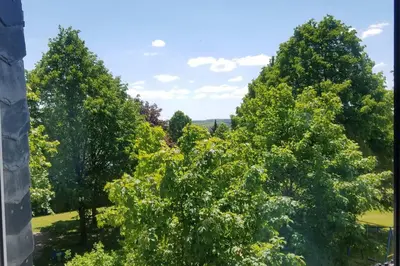 Naturlandschaft in der Nähe der Ferienwohnung
