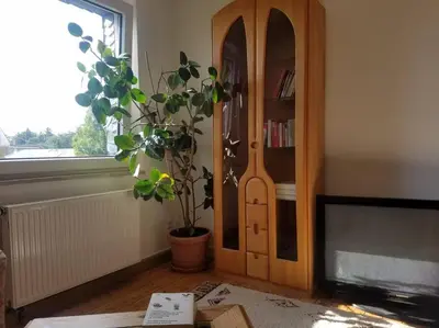 Die Bibliothek in der Ferienwohnung