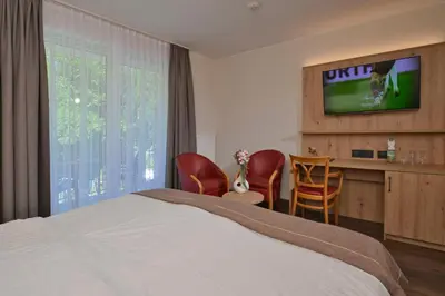 TV/Unterhaltungsangebot in der Unterkunft Hotel zur Post 3 Sterne S Altenahr